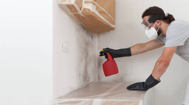 Professional Crawl Space Mold Remediation technician working in Milliken, CO
