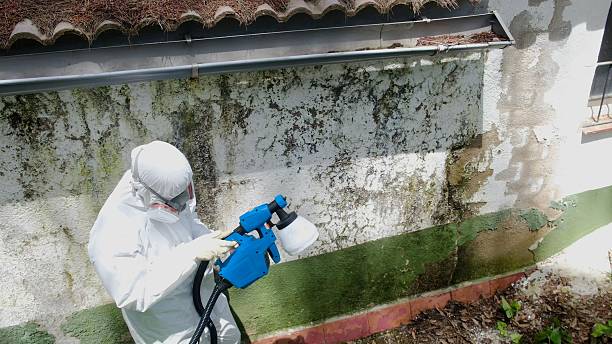 Top rated local Crawl Space Mold Remediation specialists in Milliken, CO